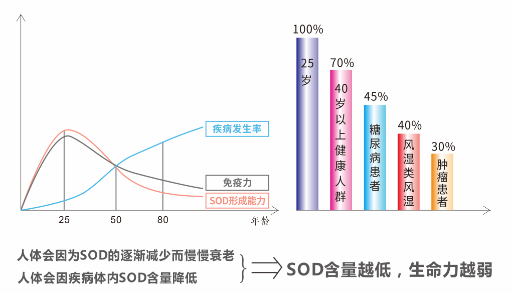 sod最新,关于SOD最新的研究进展与应用