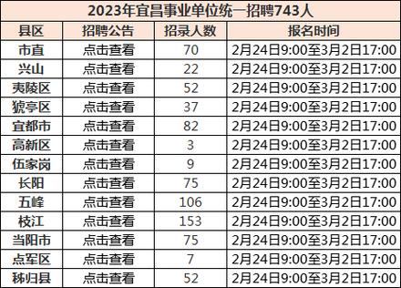 宜昌招聘网最新招聘,宜昌招聘网最新招聘动态深度解析