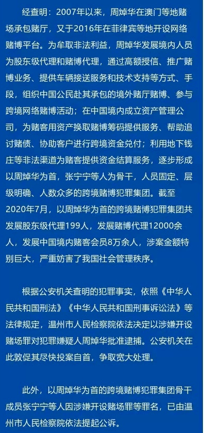 澳门正版大全免费资料,澳门正版大全与犯罪问题，探究与警示