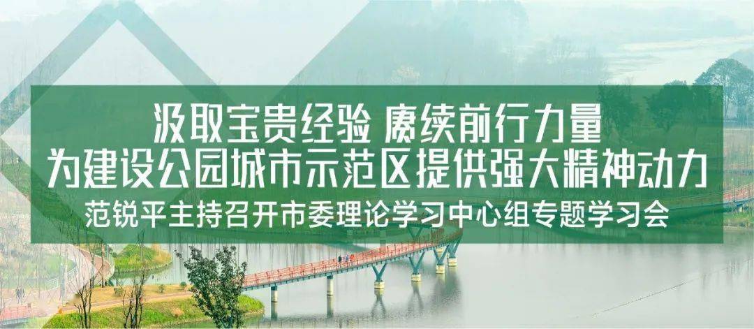 22324濠江论坛历史记录查询,探索濠江论坛的历史记录，一场信息的盛宴