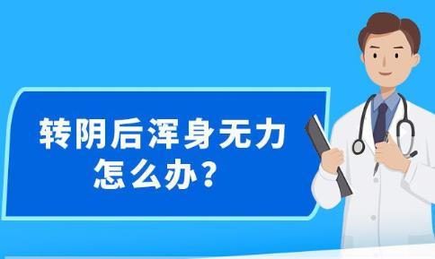 2024新澳精准资料免费提供下载,关于新澳精准资料的探讨与分享——免费下载资源在2024年的新展望