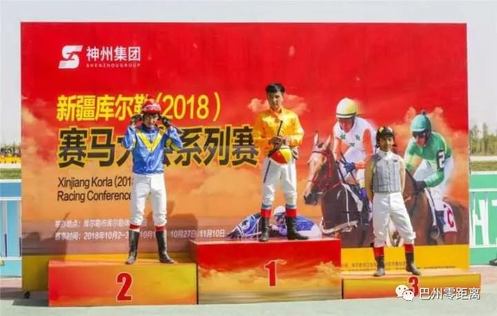 2024今晚香港开特马开什么,探索香港赛马文化，2024今晚特马赛事展望