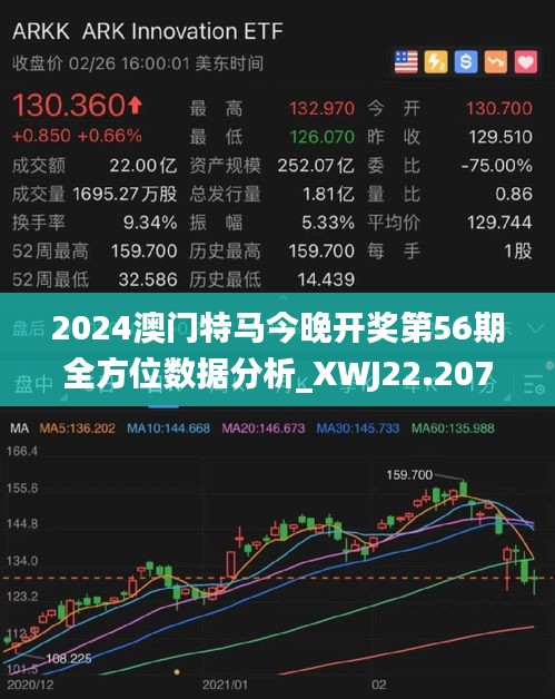 2024澳门特马今晚开网站,探索澳门特马文化，2024澳门特马今晚开网站