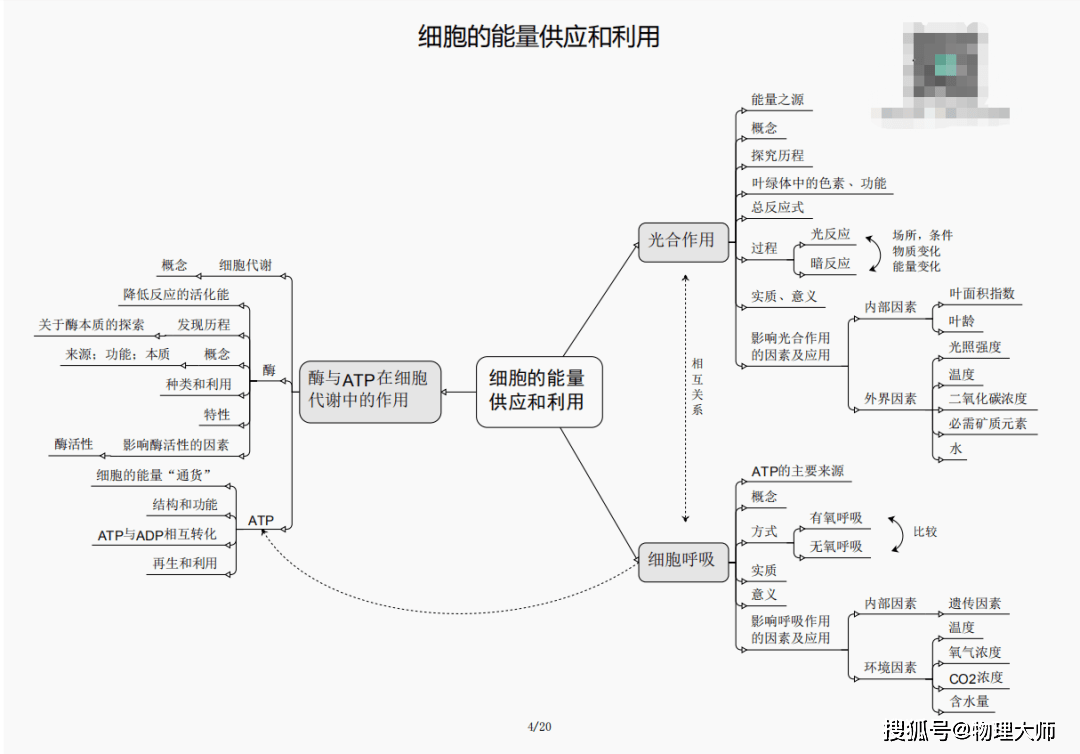 管家婆三肖三期必出一期MBA,管家婆三肖三期必出一期MBA，揭秘预测背后的逻辑与策略