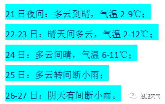 2025新澳资料免费精准051,探索未来，2025新澳资料免费精准051的全方位解读