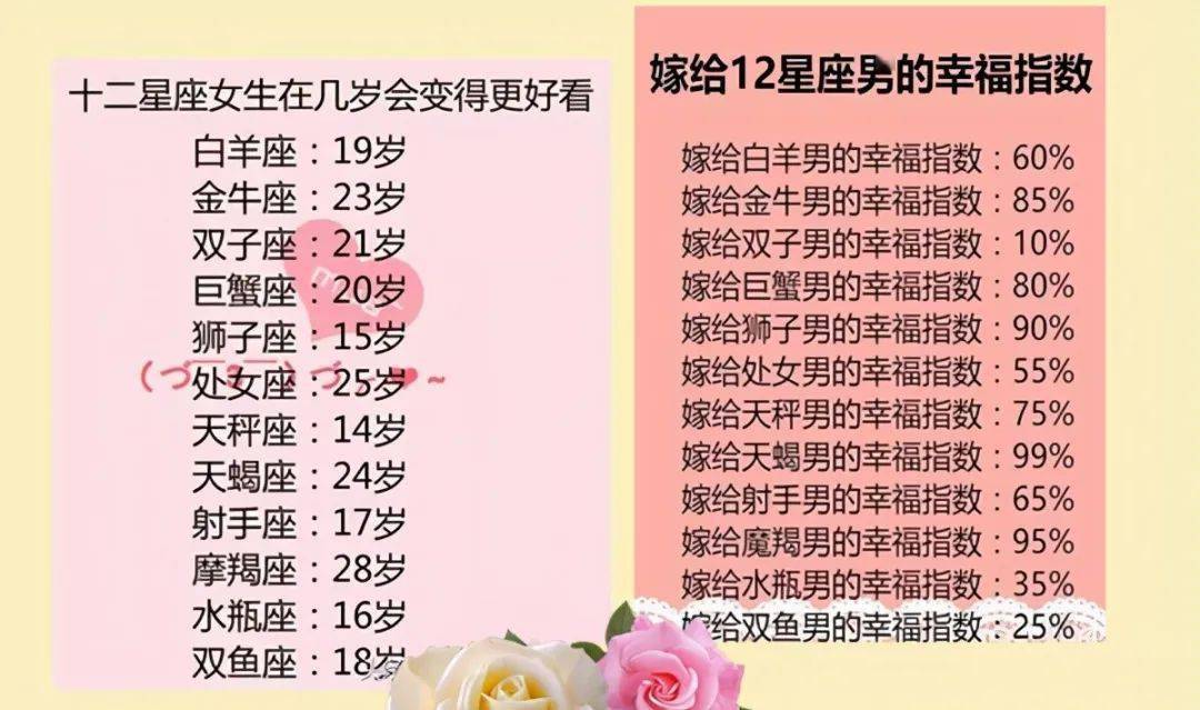 2025十二生肖49个码004期 04-49-26-19-30-44T：10,探索十二生肖与彩票密码，一场跨越时空的奇妙相遇